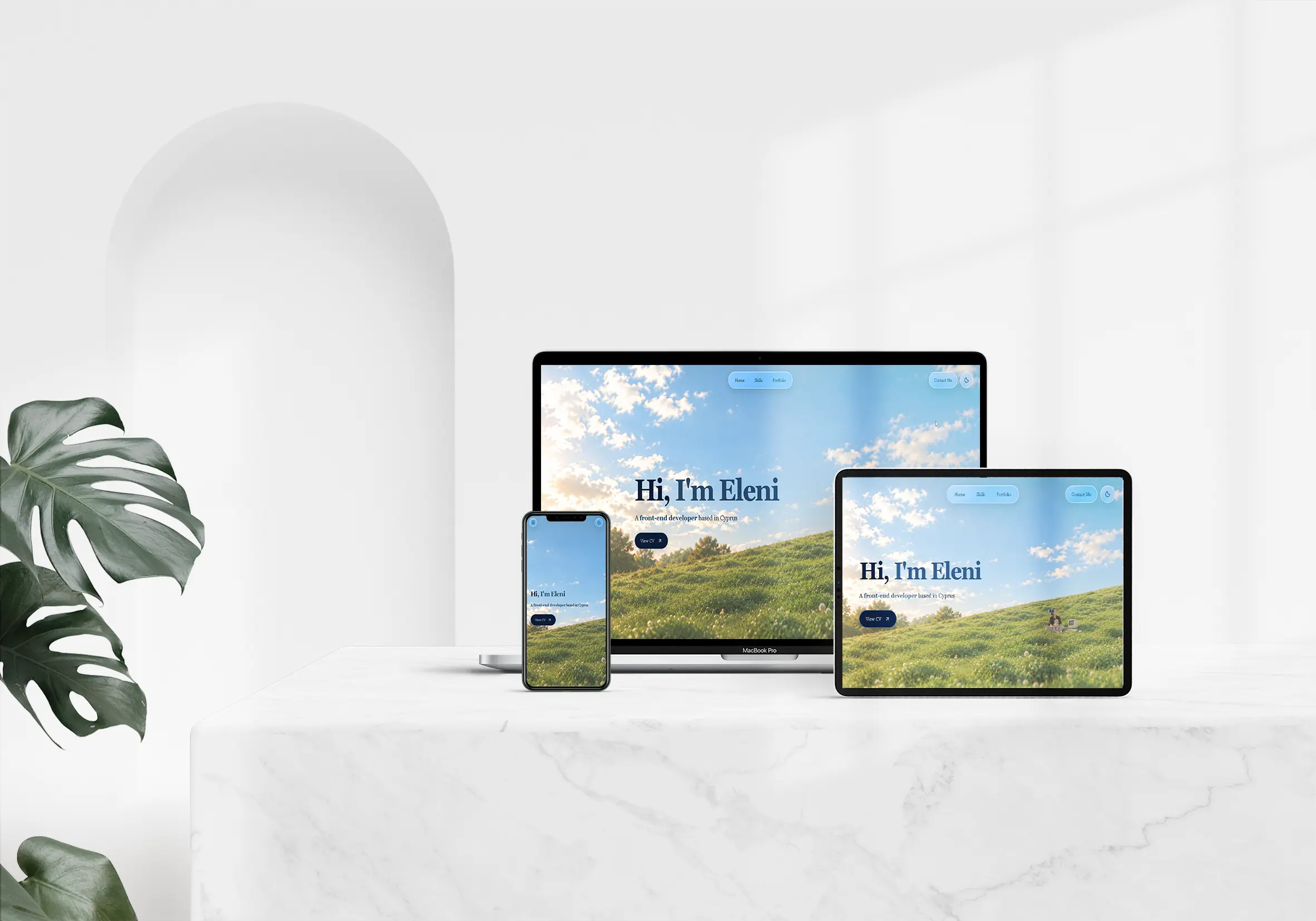 Portfolio project preview
