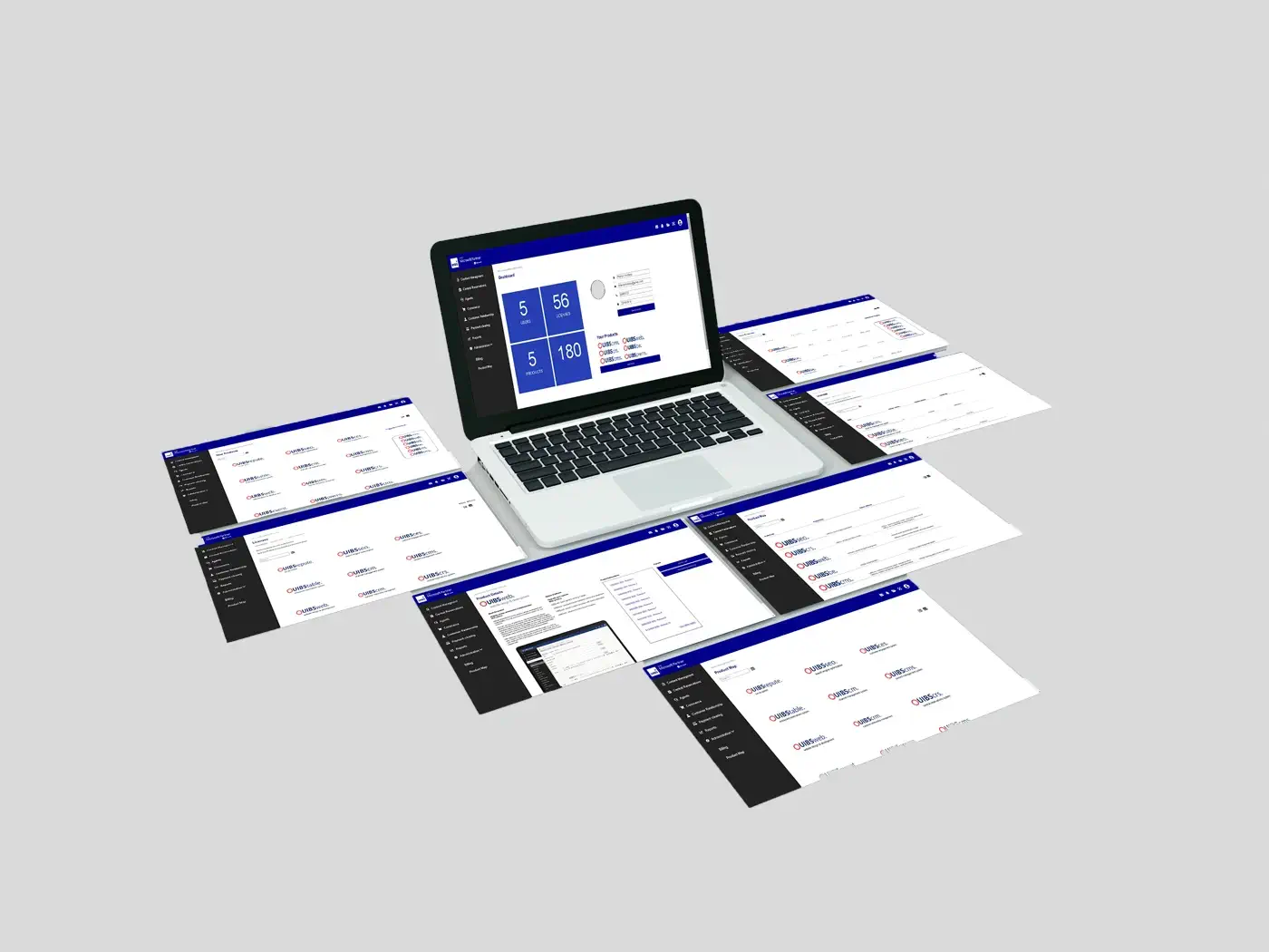 UIBS/University Project project preview